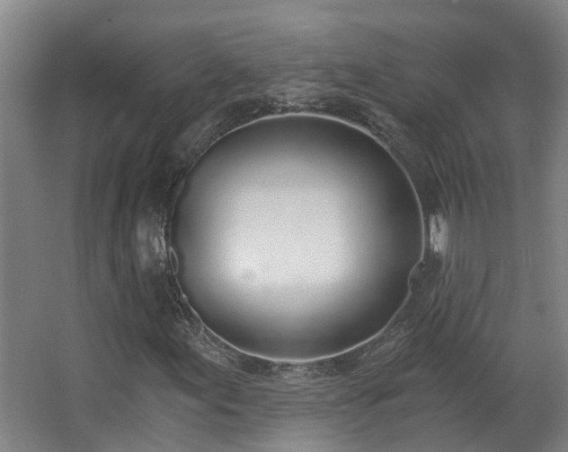 X0000068311155200604241356