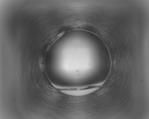 X0000068311156200604241355