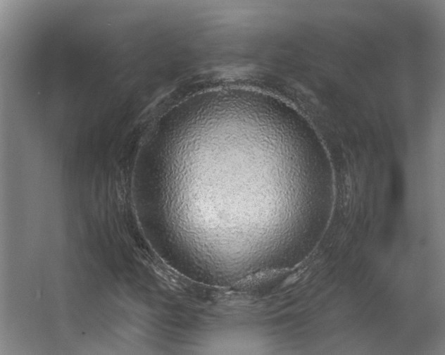 X0000068311158200604241355