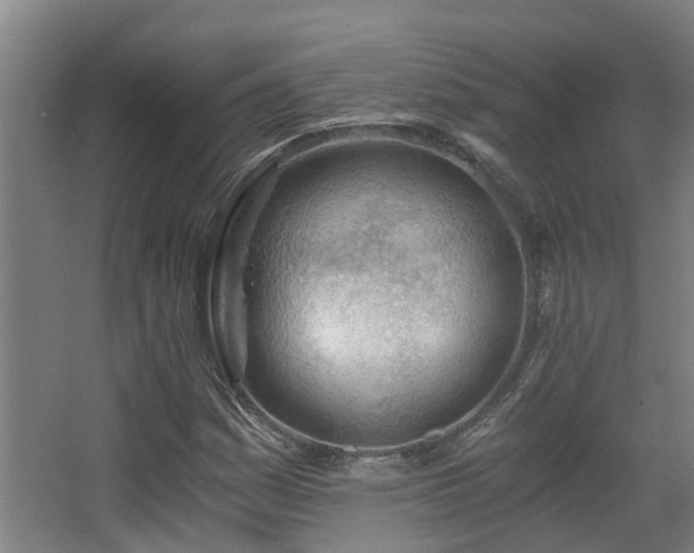 X0000068311161200604241355