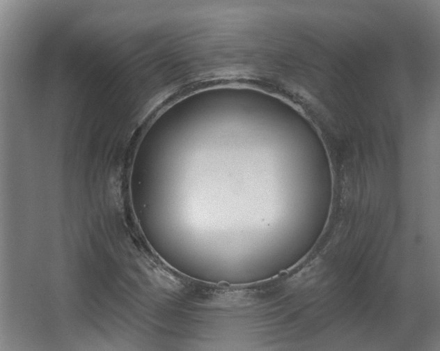 X0000068311162200604241355