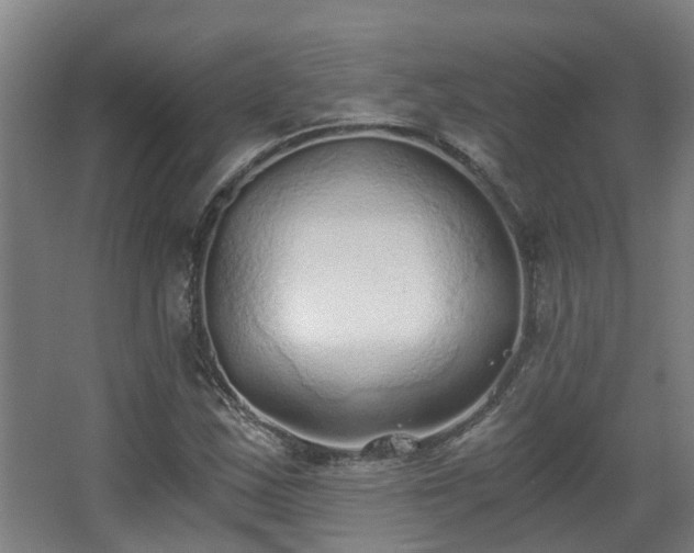 X0000068311163200604241355