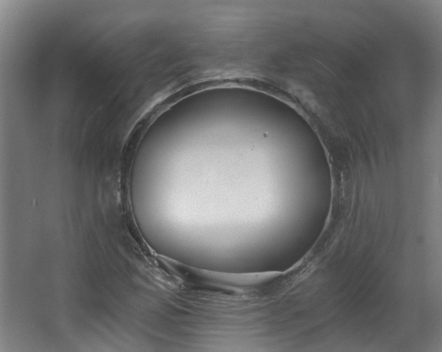 X0000068311165200604241355