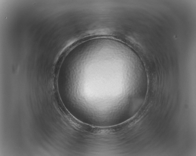 X0000068311166200604241355