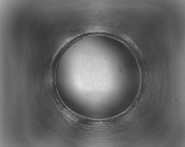 X0000068311167200604241355