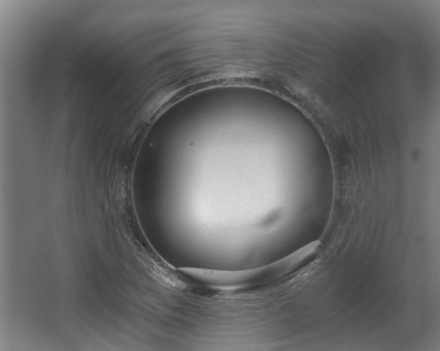 X0000068311169200604241355