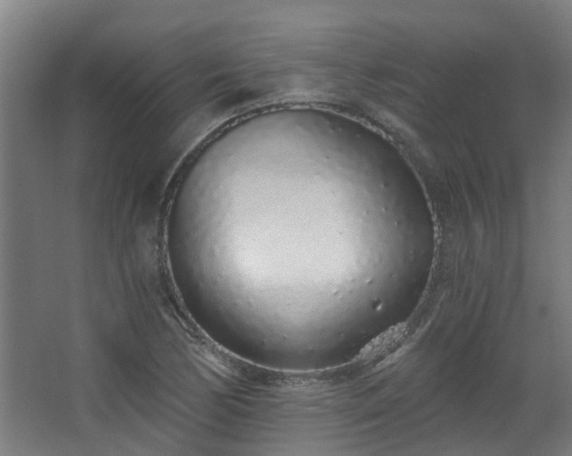 X0000068311170200604241355