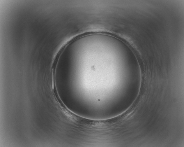 X0000068311175200604241355