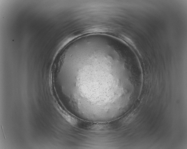 X0000068311179200604241355