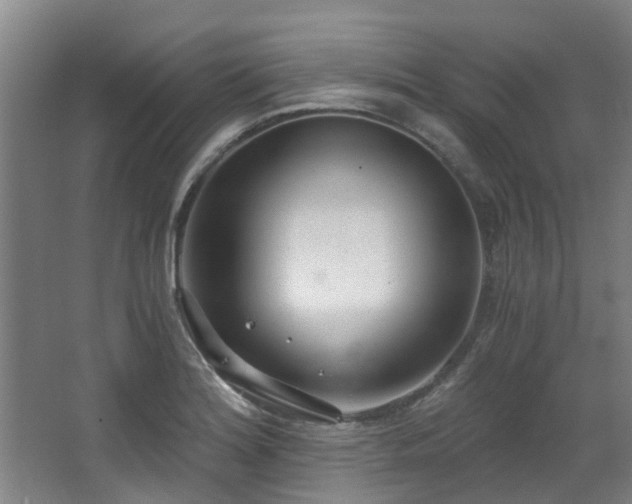 X0000068311180200604241355