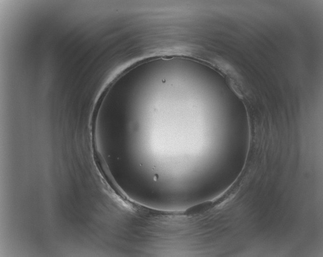 X0000068311184200604241355