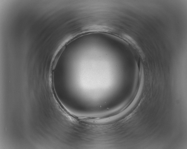 X0000068311188200604241355