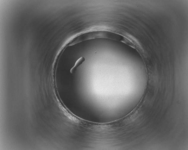 X0000068311192200604241355