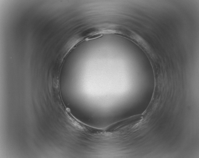 X0000068311193200604241355