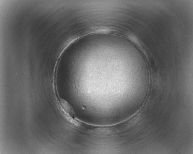 X0000068311194200604241355