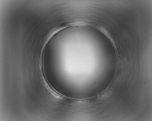 X0000068311195200604241355