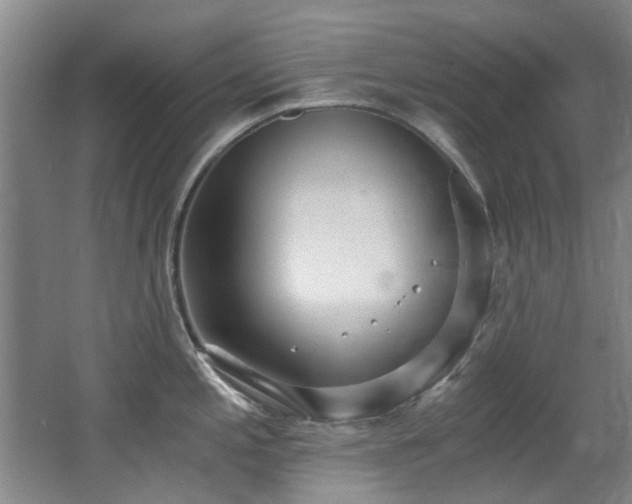 X0000068311197200604241355