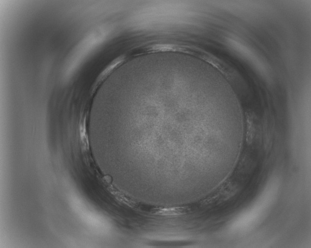 X0000068311198200604241355