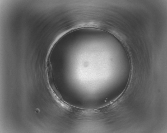 X0000068311200200604241355