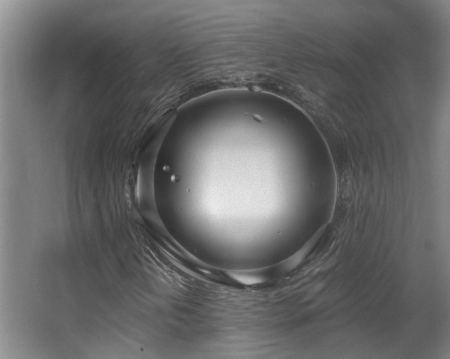 X0000068311202200604241354