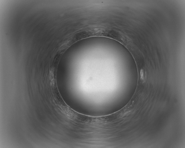 X0000068311203200604241354