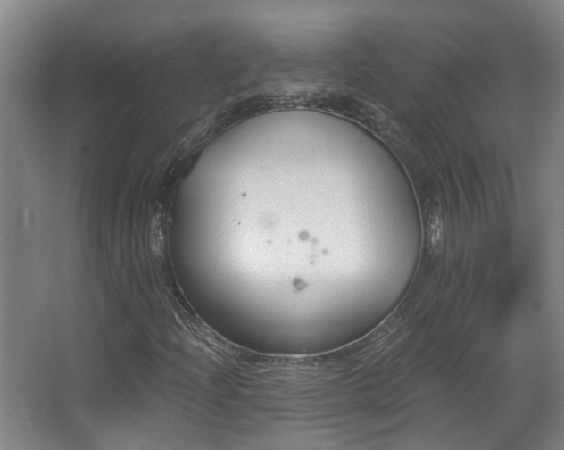 X0000068311204200604241354