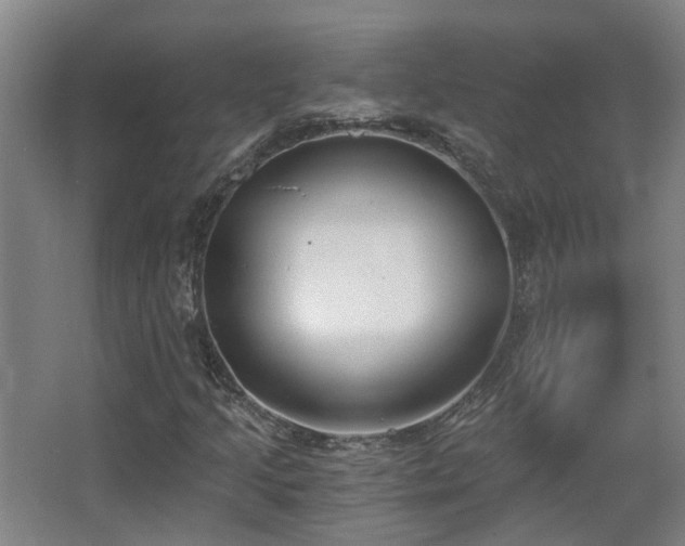 X0000068311205200604241354