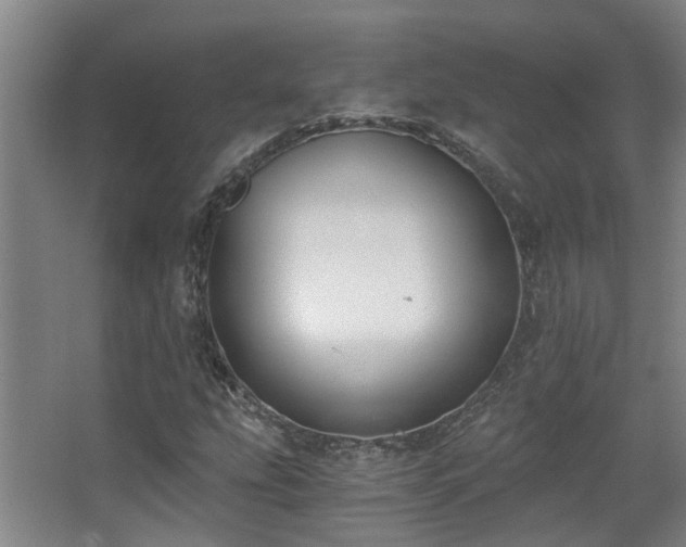 X0000068311207200604241354