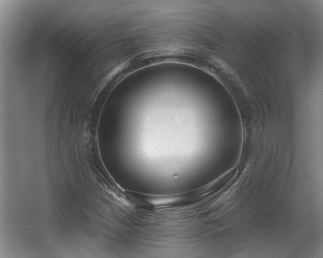 X0000068311210200604241354