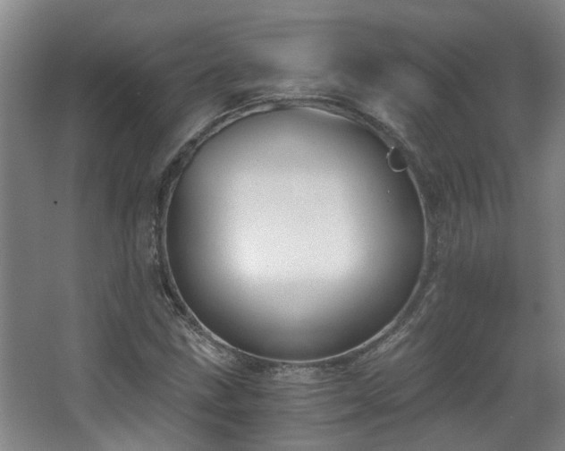 X0000068311211200604241354