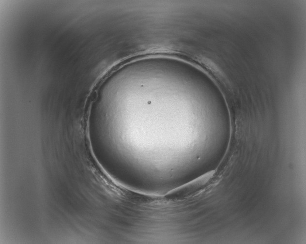 X0000068311212200604241354