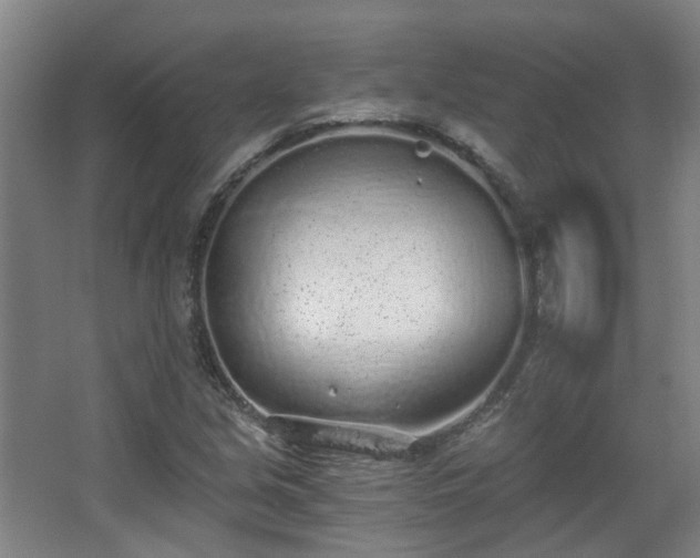 X0000068311213200604241354