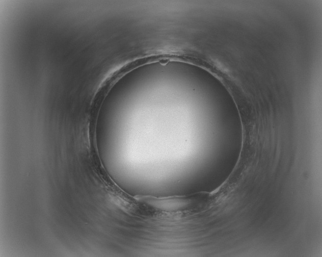 X0000068311214200604241354