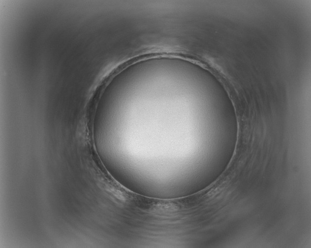 X0000068311215200604241354