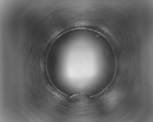 X0000068311217200604241354