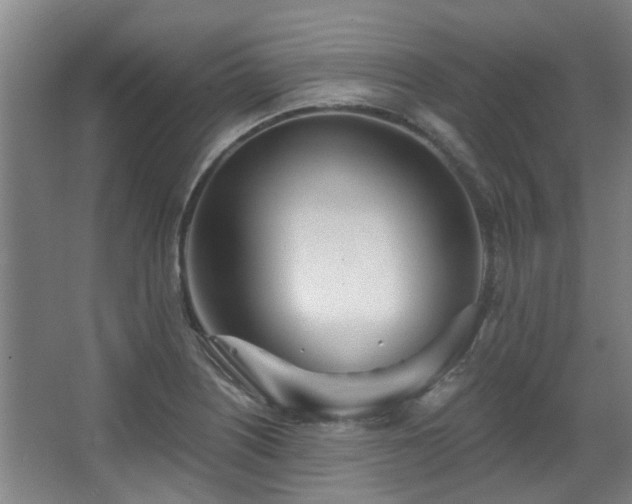 X0000068311226200604241354