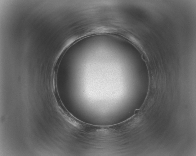 X0000068311227200604241354