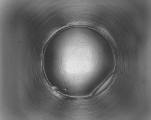 X0000068311228200604241354