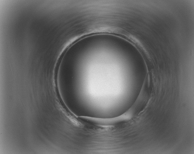 X0000068311230200604241354