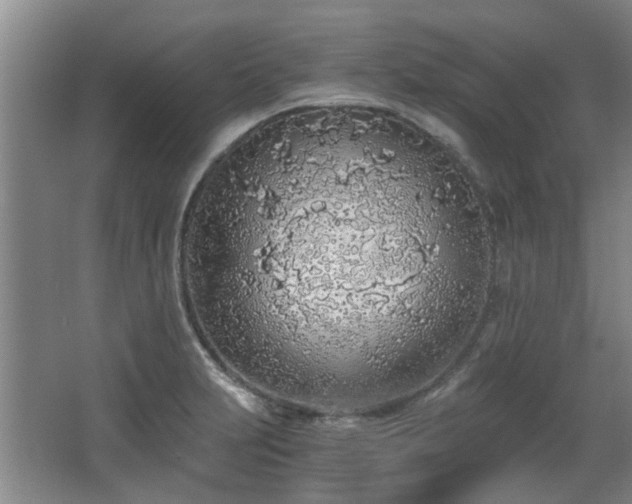 X0000068311231200604241354