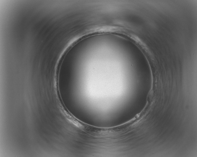 X0000068311232200604241354