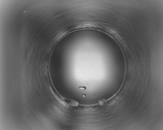 X0000068311233200604241354