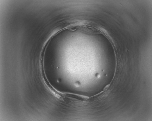 X0000068311235200604241355