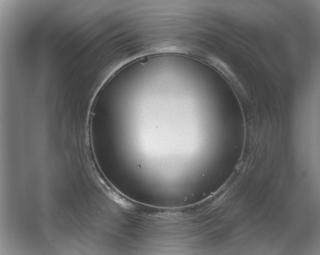 X0000068311236200604241355