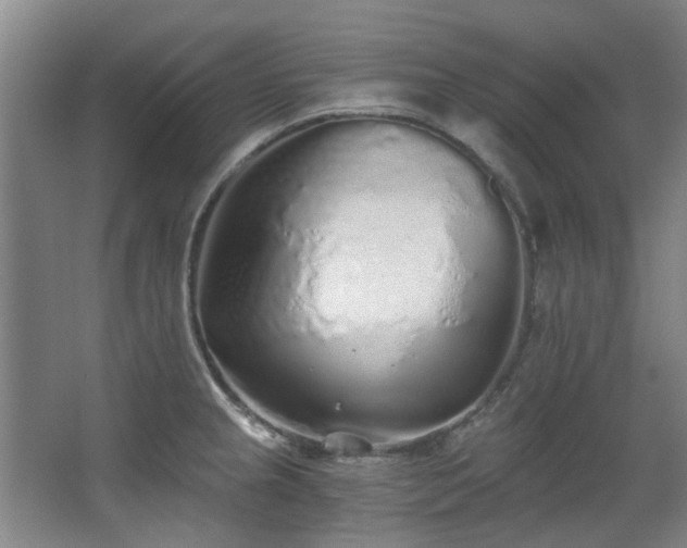 X0000068311237200604241355