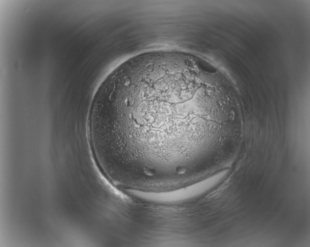 X0000068311239200604241355