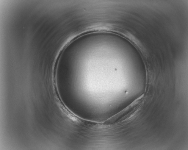 X0000068311240200604241355