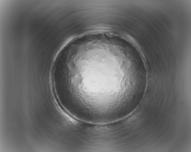 X0000068311243200604241355