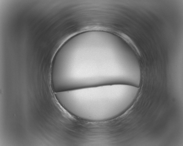 X0000068311244200604241355