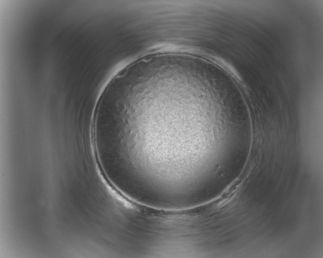 X0000068311247200604241355